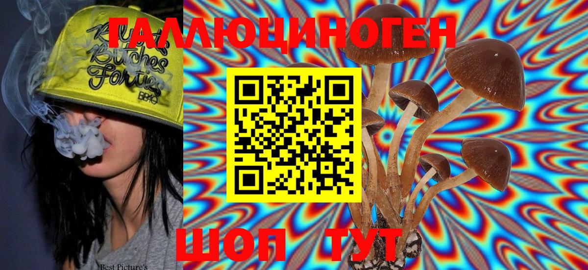 Галлюциногенные грибы MAGIC MUSHROOMS Новоалександровск