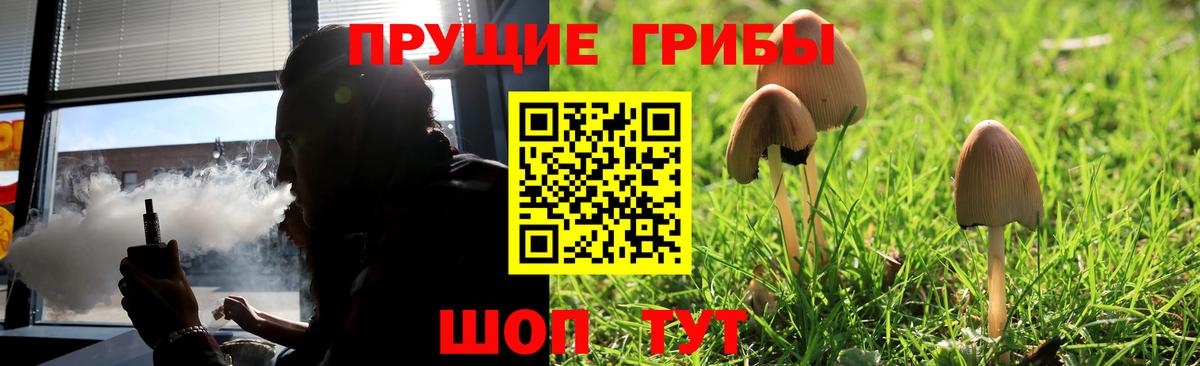 Галлюциногенные грибы Psilocybine cubensis  Вход с VPN  Новоалександровск 